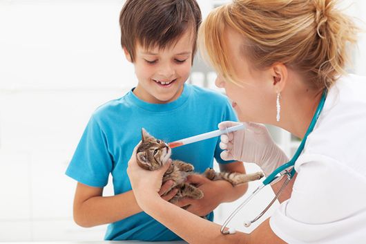 Clínica Veterinaria Es Secar veterinaria con mascota